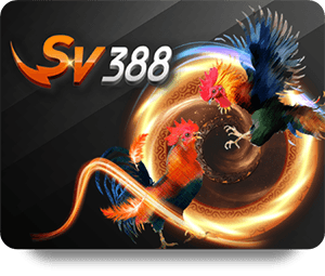 Hướng dẫn chơi Nova88 Slot Baccarat cho người chơi mới